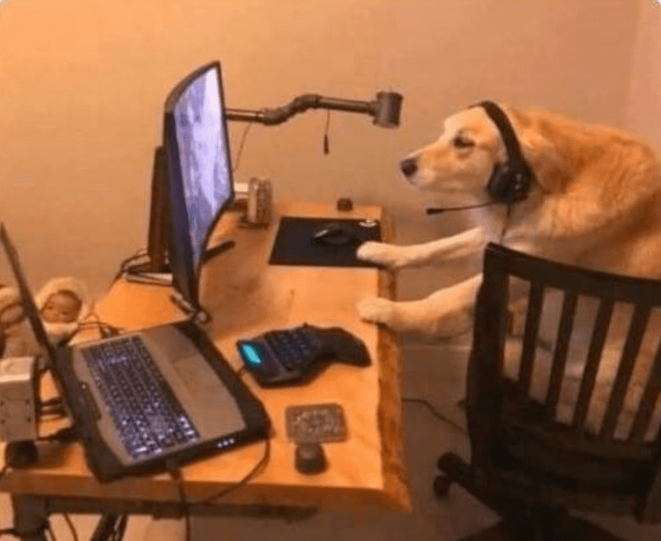 Fugit quia dolorum sit a